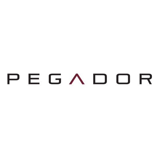 Pegador